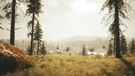 Trail of Ayash cover