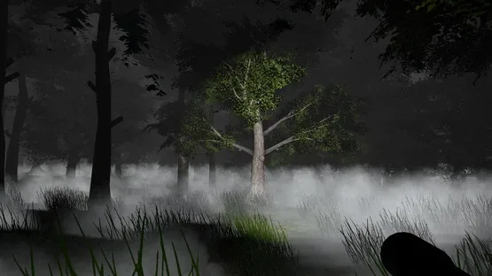 Go Outside Simulator screenshot 4
