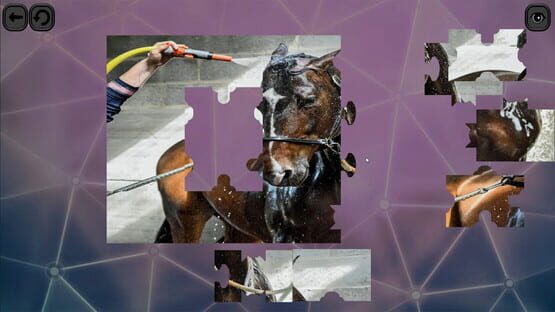 Puzzles for smart: Horses cover