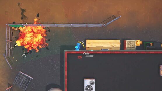 Top Down Survivor cover