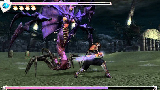 Ninja Gaiden Screenshot