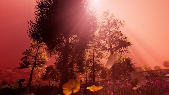 Hidden Protector cover