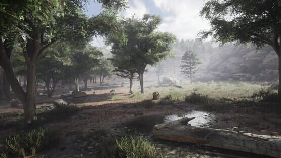 Diastone: Memories cover