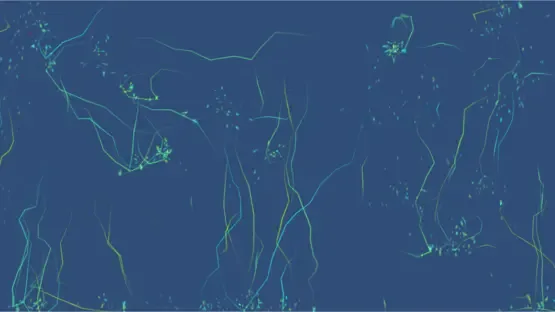 Data screenshot 4