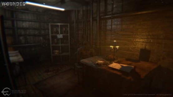 Wounded: The Beginning cover