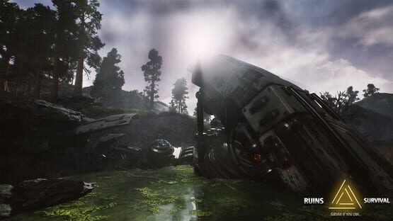 Ruins Survival cover