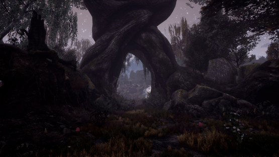 The Dead Tree of Ranchiuna Screenshot