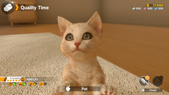 Little Friends: Dogs & Cats Screenshot