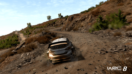 WRC 8 Screenshot