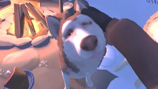 Thumbnail 13