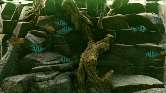 Biotope: Aquarium Simulator Screenshot