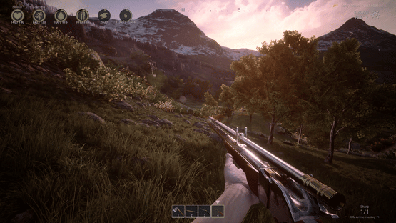 Outlaws of the Old West Screenshot