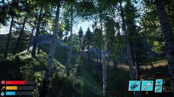 Soul Valley Screenshot