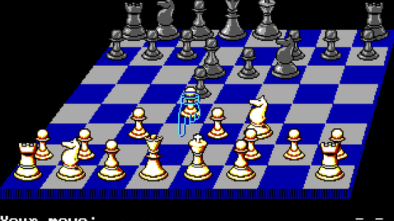 Chess Simulator Screenshot