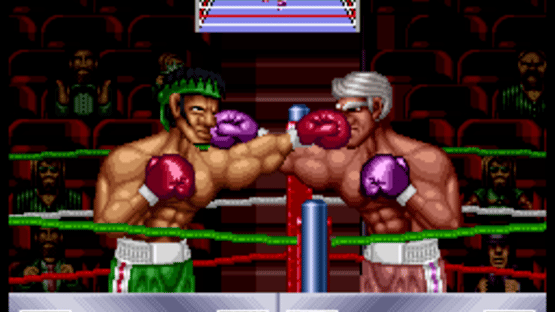 Riddick Bowe Boxing Screenshot