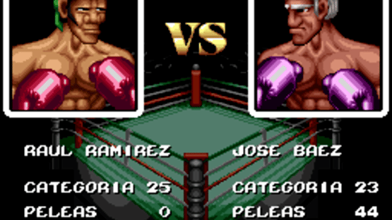 Riddick Bowe Boxing Screenshot