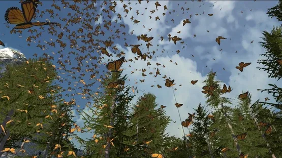 Dances with Butterflies VR screenshot 5