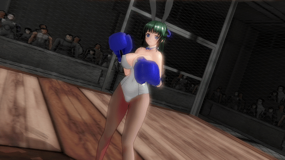 Gamble Fight Plus Screenshot