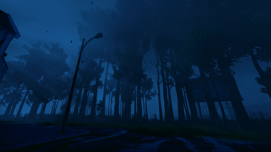 Nightwalk Screenshot