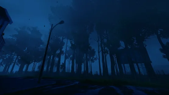 Nightwalk screenshot 5
