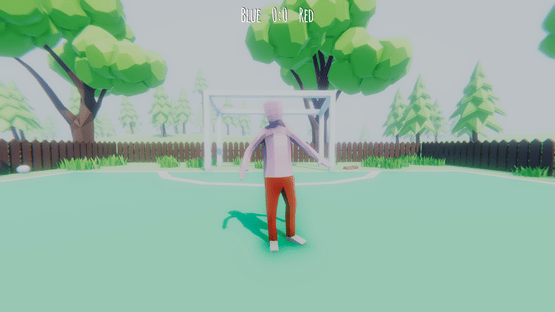 Soccer Player Simulator Screenshot