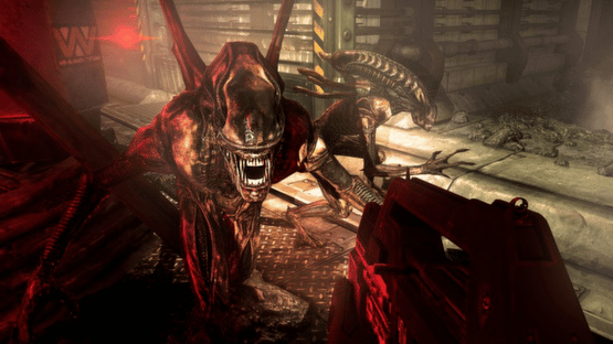 Aliens: Colonial Marines - Bug Hunt Screenshot