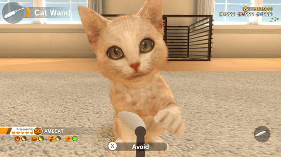 Little Friends: Dogs & Cats Screenshot