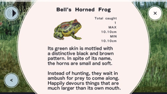 Frog Minutes Screenshot