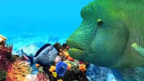 Fish Life screenshot 3