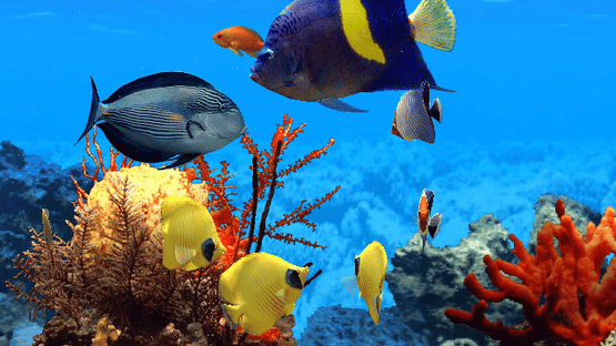 Fish Life Screenshot