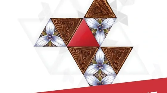 Triangul8 screenshot 1