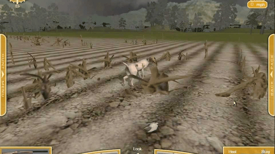 Bird Hunter 2003: Legendary Hunting Screenshot