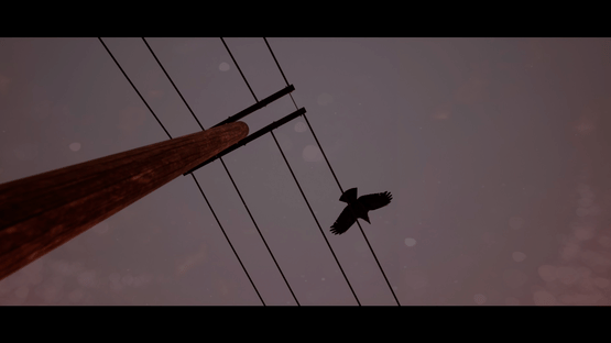 Of Bird and Cage Screenshot