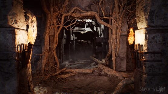 Stay in the Light cover