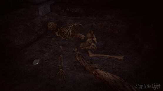 Stay in the Light screenshot 5