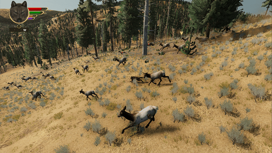 WolfQuest: Anniversary Edition Screenshot