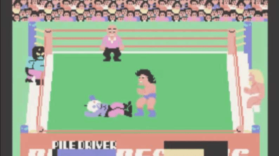 Champion Pro Wrestling Screenshot