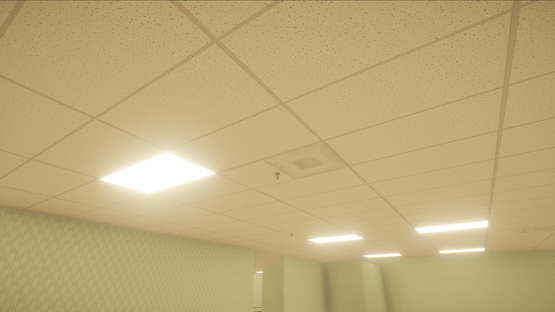 The Backrooms Simulator Screenshot