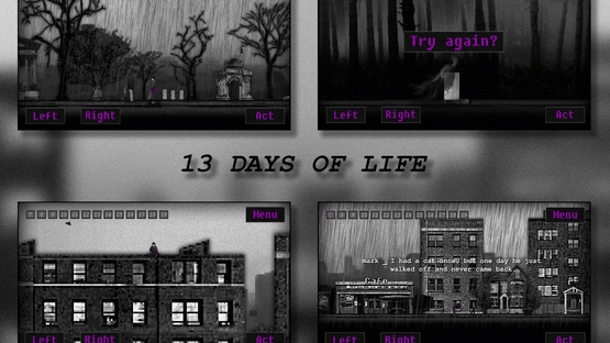 13 Days of Life Screenshot