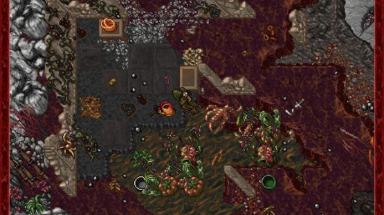 Tibia Screenshot