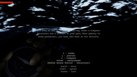 screenshot 12