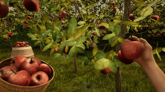 Orchard Simulator Screenshot