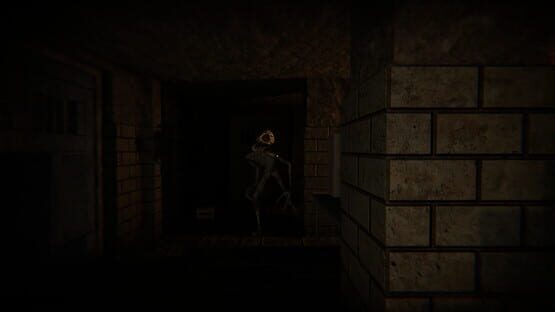 The Designer's Curse cover