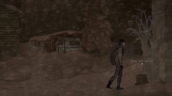 Roots of the Woods cover