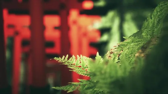 Explore Fushimi Inari screenshot 10