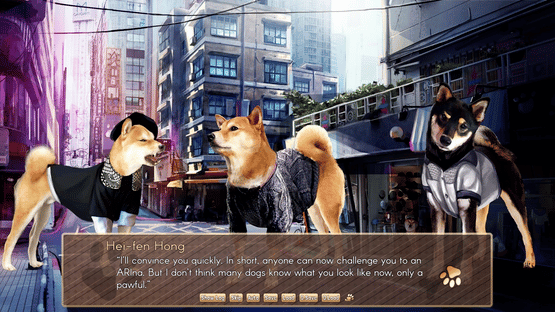 A Summer with the Shiba Inu Screenshot