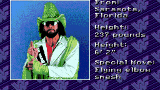 WWF Royal Rumble Screenshot