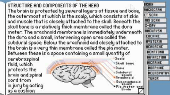 Life & Death II: The Brain Screenshot