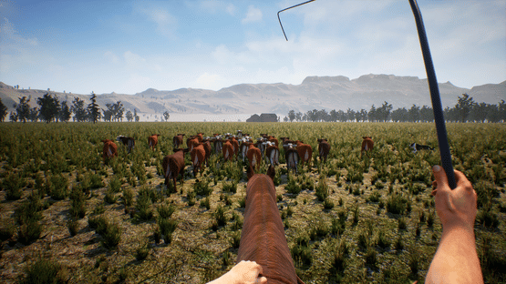 Cowboy Life Simulator Screenshot