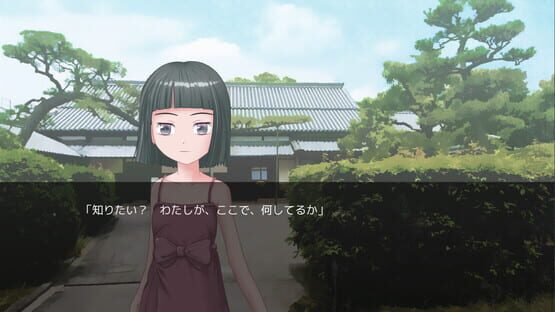 Before Arriving at the Terminal cover